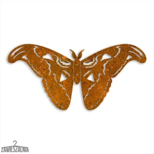 Zawieszalnia – decorazione murale 3D Farfalla Pavone Atlas L 50 cm acciaio Corten