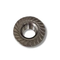 Dado esagonale con flangia M8 con dentatura DIN 6923 PV-11-03 (2)